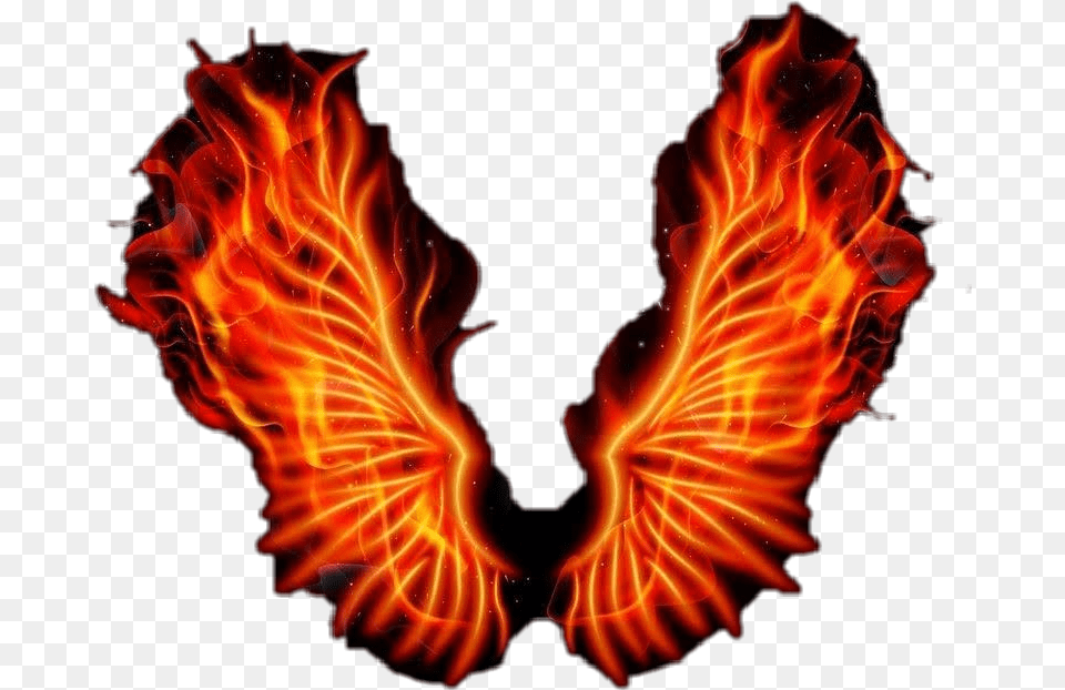 Freetoedit Fire Wings Firey Sticker By Maddie Carter Fire Phoenix In Black Background, Flame, Bonfire, Accessories Png Image