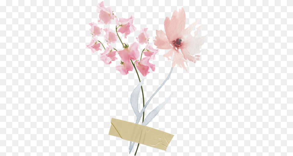 Freetoedit Flower Flowers Tape Pastel Scrapbook, Flower Arrangement, Petal, Plant, Flower Bouquet Free Transparent Png