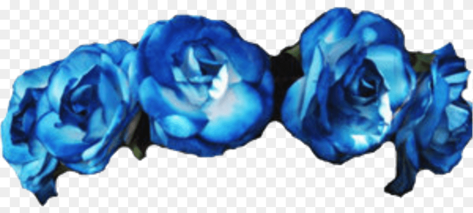 Freetoedit Flowercrown By Flower Crown Transpa Blue Flower Crown, Plant, Rose, Accessories, Petal Png Image