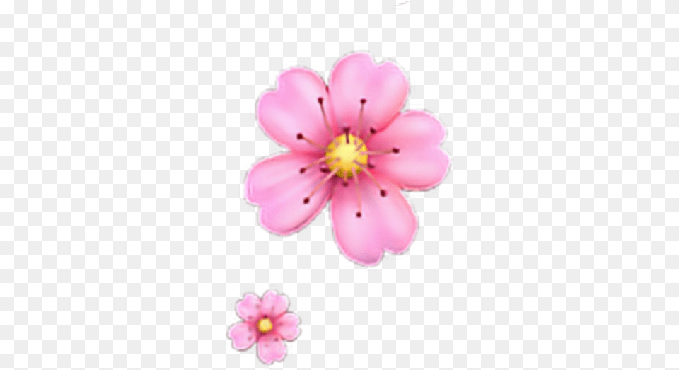 Freetoedit Floweremoji Flower Emoji Iphone Iphoneemoji Garden Cosmos, Anther, Petal, Plant, Anemone Free Transparent Png