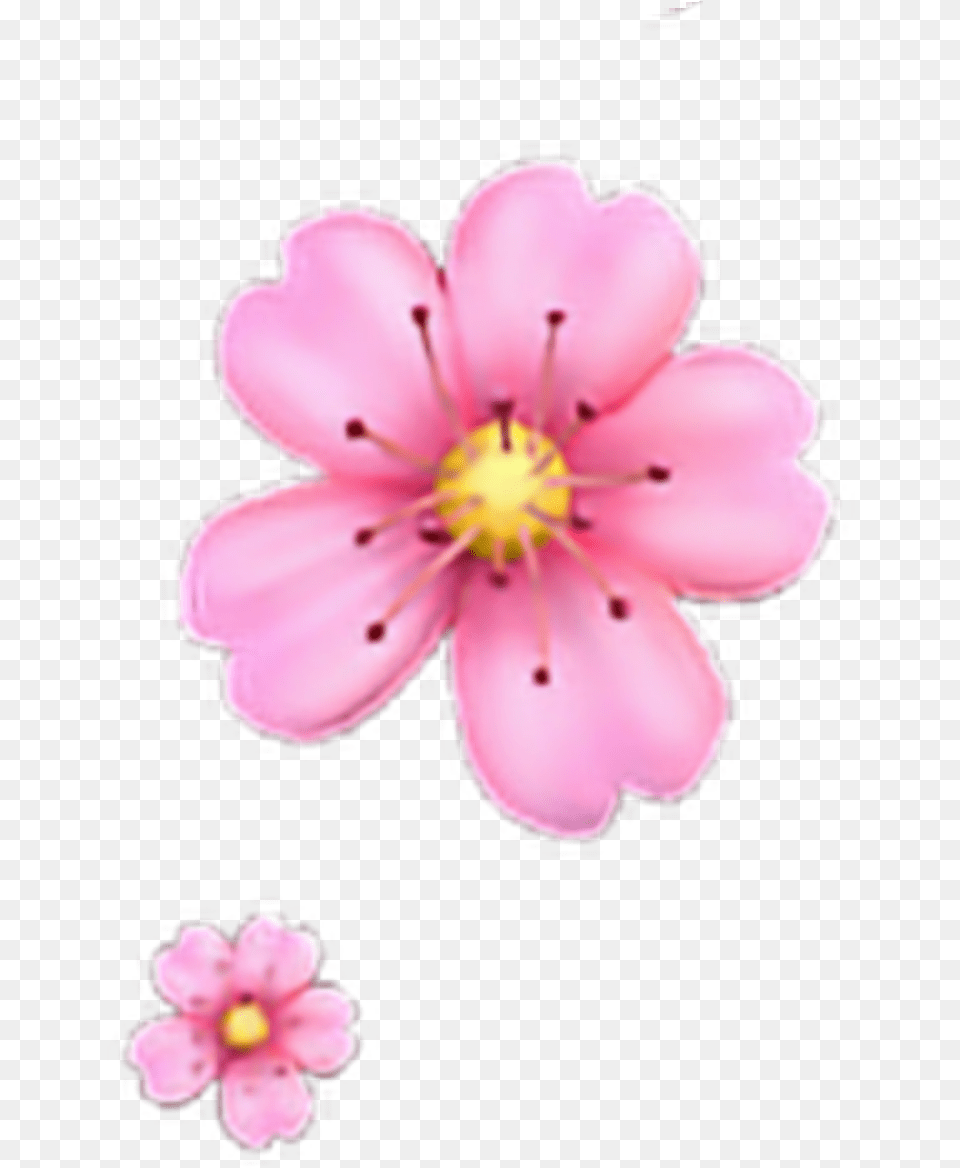 Freetoedit Floweremoji Flower Emoji Iphone Iphoneemoji Pink Flower Emoji, Anther, Petal, Plant, Cherry Blossom Free Png Download