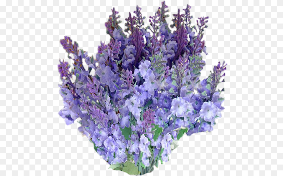 Freetoedit Flowers With A Transparent Background Bouquet, Flower, Plant, Purple, Lavender Png Image