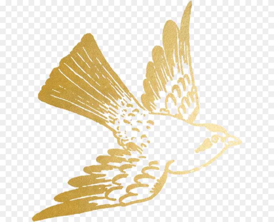 Freetoedit Ftesticker Gold Goldfoil Foil Bird Gold Bird, Animal, Beak, Plant, Sparrow Png