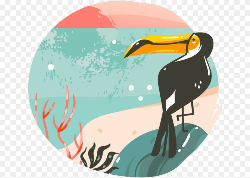 Freetoedit Ftesticker Tucan Summer Summervibes Beach Illustration, Animal, Beak, Bird, Waterfowl Png