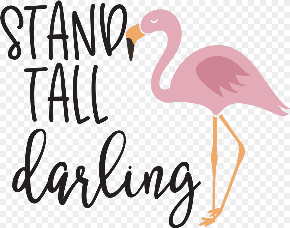 Freetoedit Ftestickers Flamingo Quotes Amp Sayings Summer Duck, Animal, Bird, Beak Free Png
