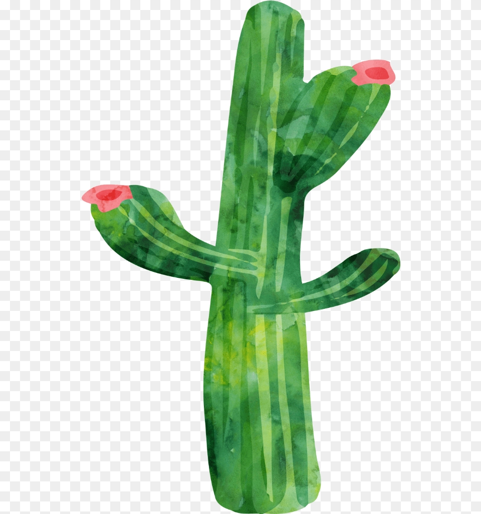Freetoedit Ftestickers Watercolor Cactus Succulent Deco Watercolor Painting, Cross, Symbol, Plant Free Transparent Png