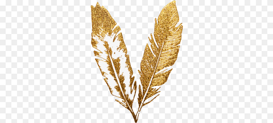 Freetoedit Gold Glitter Aesthetic Feather Transparent Gold Feather, Leaf, Plant, Tobacco Free Png Download