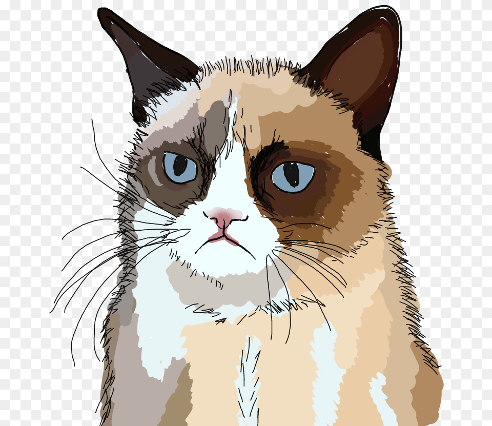 Freetoedit Grumpy Cat Grumpycat Drawing Grumpy Cat Nope, Art, Person, Animal, Mammal Png