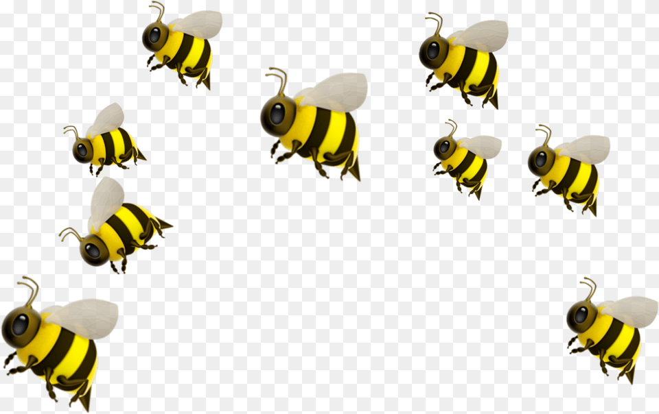 Freetoedit Honey Bee Emoji, Animal, Invertebrate, Insect, Honey Bee Free Transparent Png