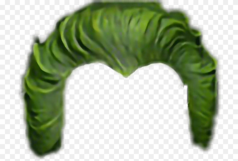 Freetoedit Joker Hair Green Freetoedit Picsart Joker Hair, Cushion, Home Decor, Plant Free Png Download