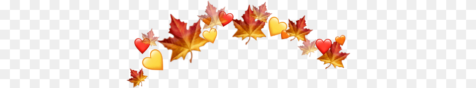 Freetoedit Leaf Leaves Autumn Halloween Crown Orchid, Plant, Tree, Maple Free Png