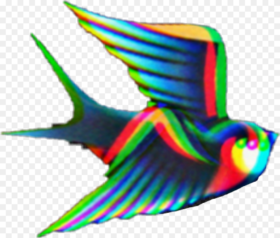 Freetoedit Love Popart Pop Oldschool Fortune Swallow, Animal, Person, Angelfish, Fish Free Transparent Png