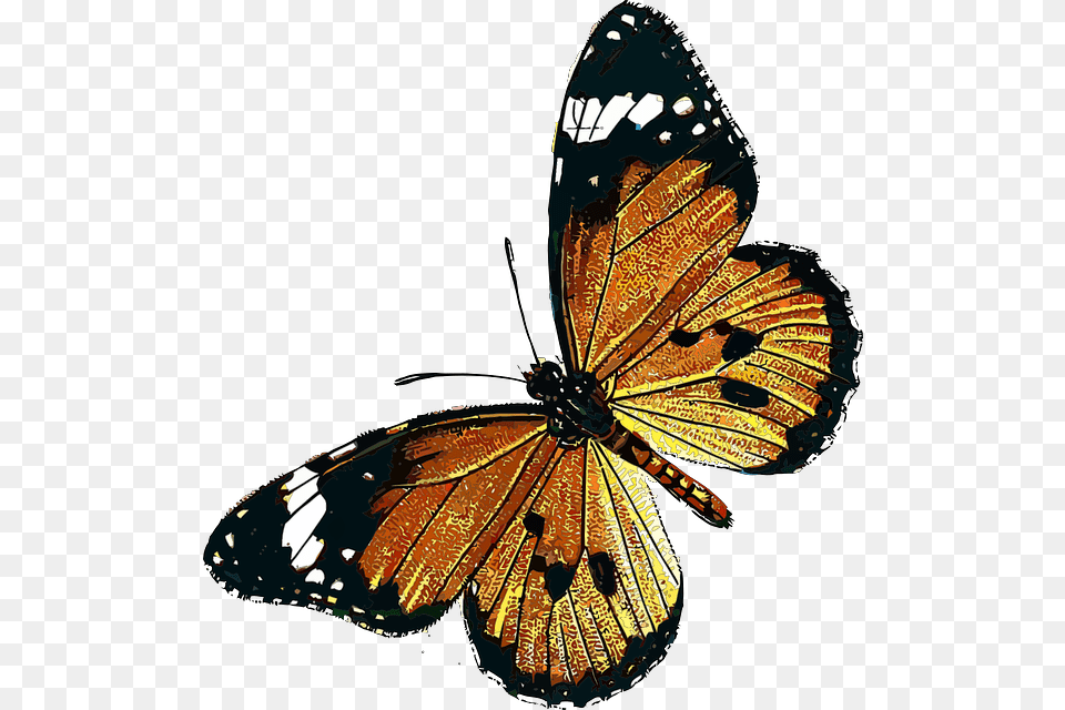 Freetoedit Mariposa Butterfly Insect Animal Insecto Monarch Butterfly, Invertebrate, Chandelier, Lamp Free Transparent Png