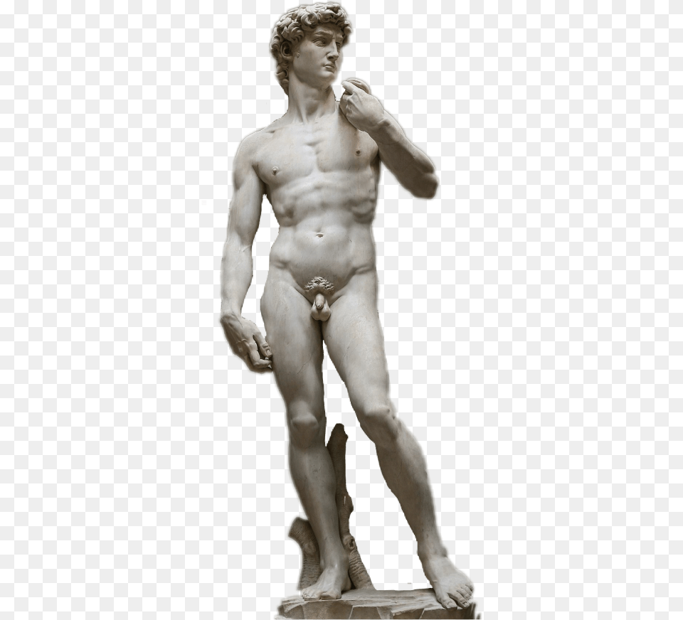 Freetoedit Michelangelo David Escultura Art Aesthetic David Michelangelo Shirt, Adult, Male, Man, Person Free Png