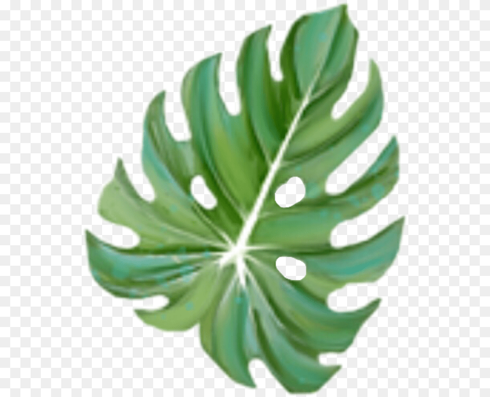 Freetoedit Monstera Leaf Christmas Tree, Plant Free Transparent Png
