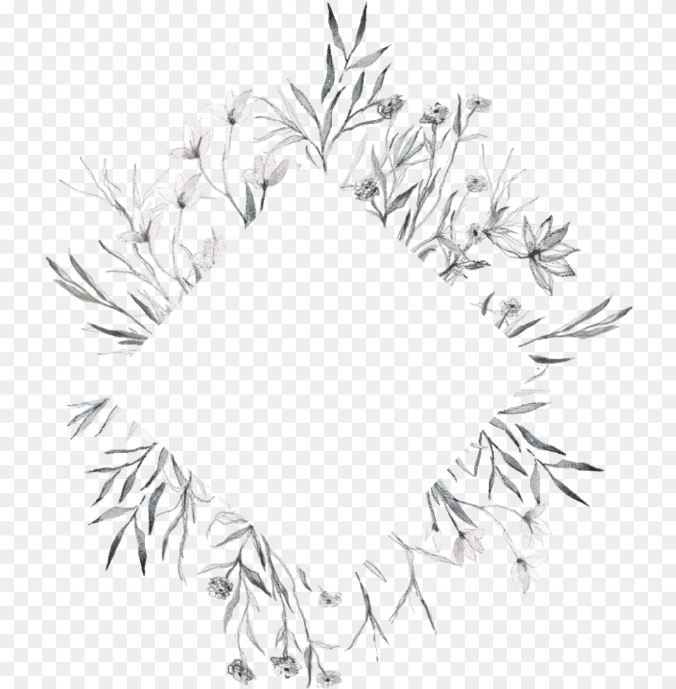 Freetoedit Overlay Blackandwhite Template Handdrawn Drawing, Plant, Art, Floral Design, Graphics Png