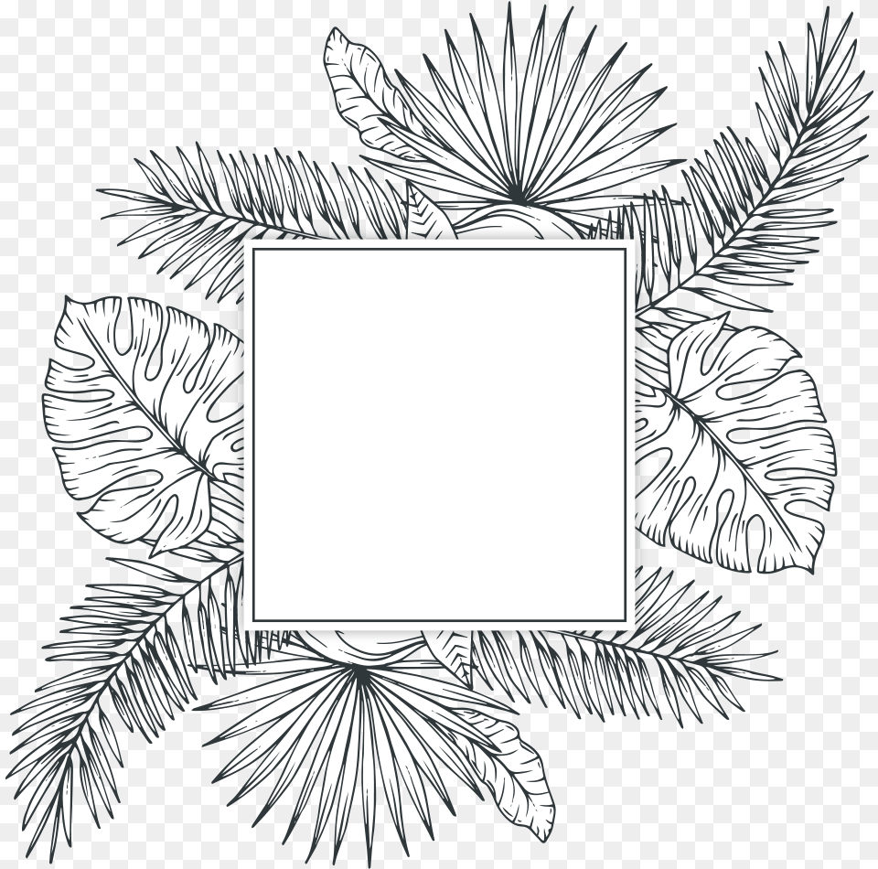 Freetoedit Overlay Blackandwhite Template Handdrawn Tropical Leaf Black And White, Art, Plant, Graphics, Pattern Png