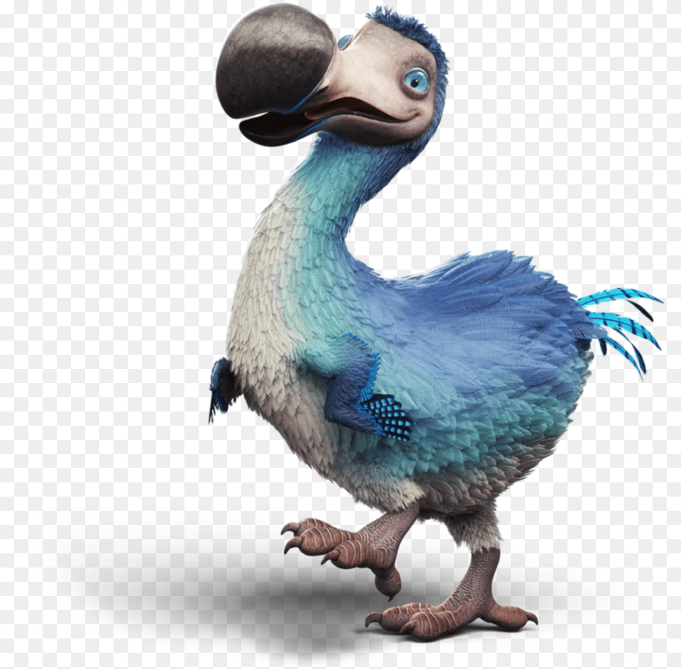 Freetoedit Picsart Dodo Dodobird Birb Bird Birds Dodo, Animal Png