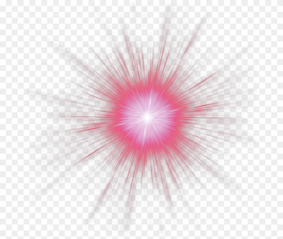 Freetoedit Pink Red Round Light Effect Sparkle, Flare, Plant Png Image