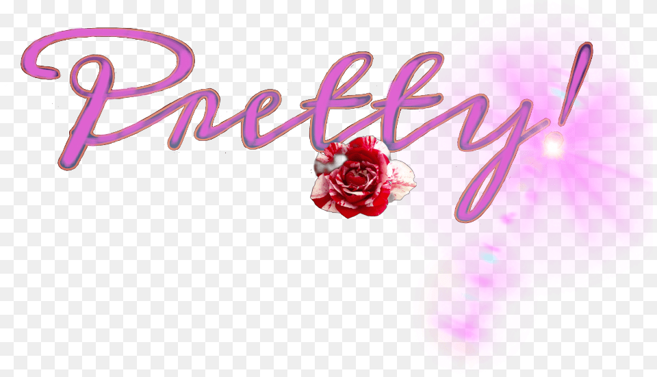 Freetoedit Pretty Pink Rose Lensflare Sccolorpink Ring, Flower, Plant, Purple, Balloon Free Png Download