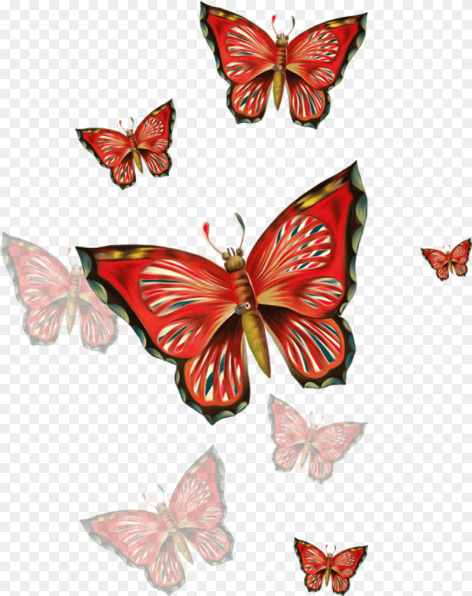 Freetoedit Red Butterflies Dnem Rozhdeniya Docheri Ot Mami, Pattern, Flower, Plant, Petal Free Png