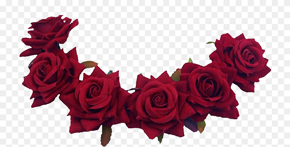 Freetoedit Red Flower Crown, Plant, Rose, Flower Arrangement, Petal Free Png