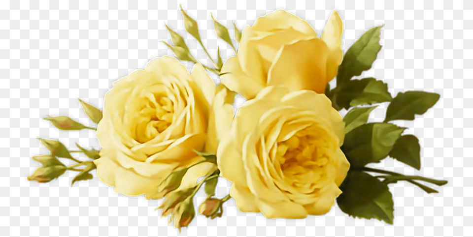Freetoedit Remixit Flowers Yellow Aesthetic Tumblr, Flower, Flower Arrangement, Flower Bouquet, Plant Free Png Download