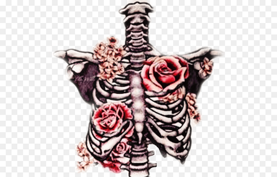 Freetoedit Ribcage Bones Roses Beautifuldeath Skeleton And Roses Drawing, Body Part, Person, Torso, Adult Png