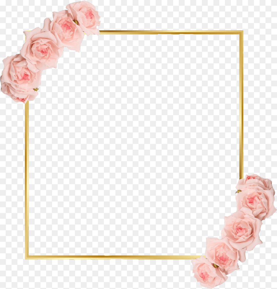 Freetoedit Rose Gold Border Art Frame Garden Roses, Flower, Plant Png Image