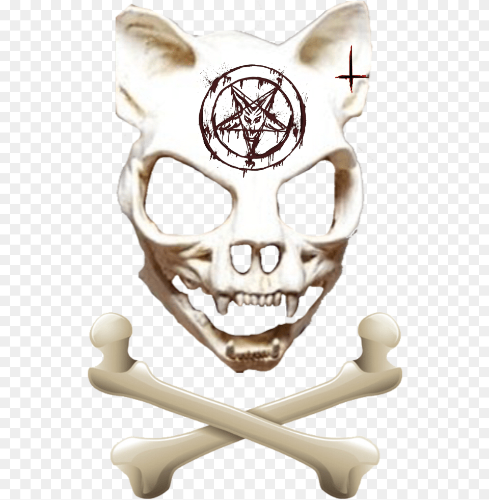 Freetoedit Satan Wolf Skull Bone Wolfskull Skull, Aircraft, Airplane, Transportation, Vehicle Free Png Download