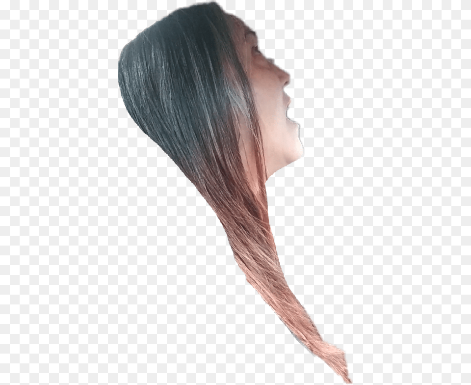Freetoedit Selfie Cutout Lace Wig, Adult, Face, Female, Head Png Image