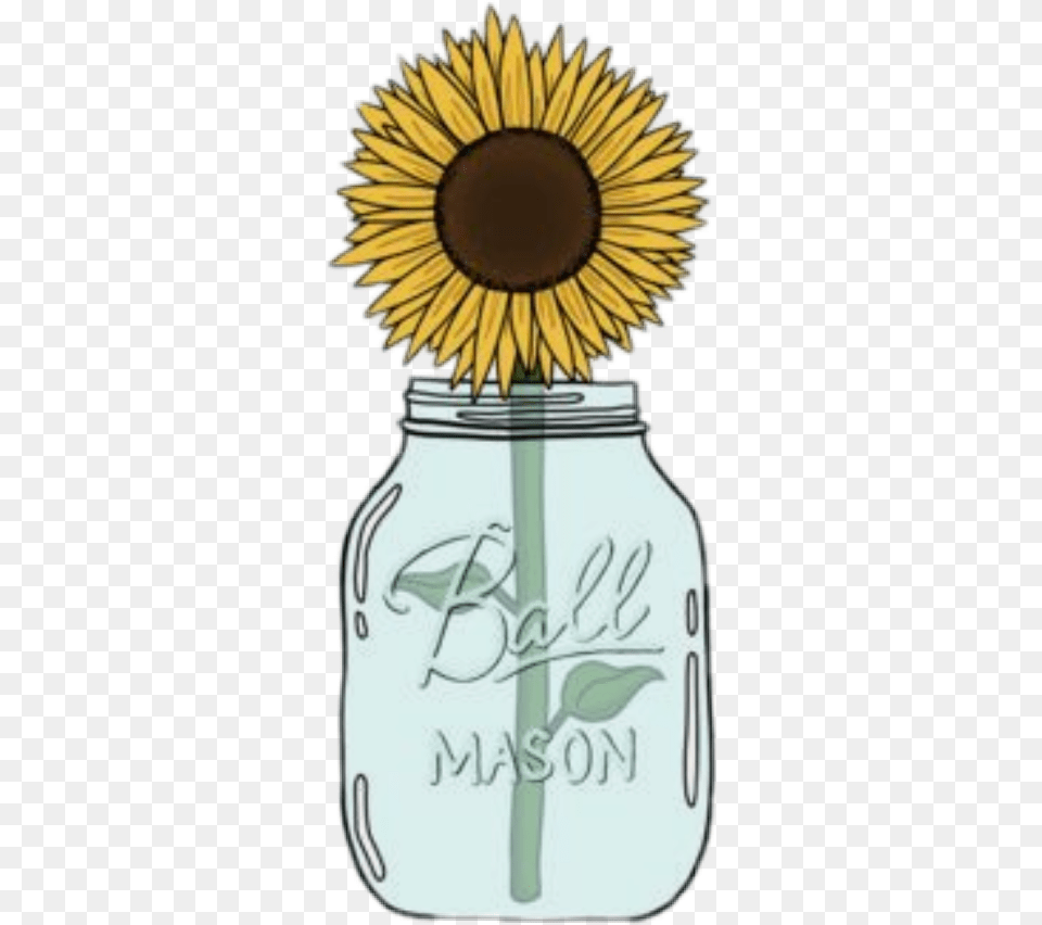 Freetoedit Sfondi Wallpapers Tumblr Tattooday Sunflower In Mason Jar Clipart, Flower, Plant, Smoke Pipe Free Transparent Png
