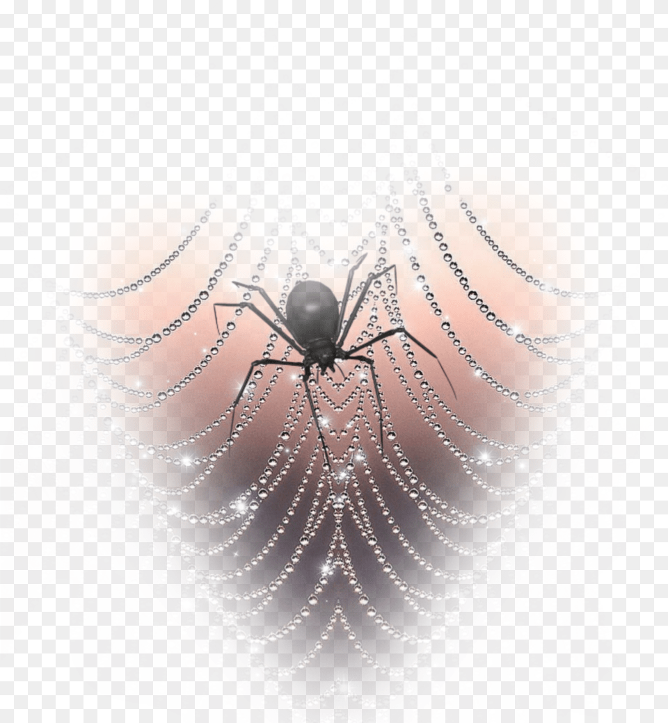 Freetoedit Spider Spiderwebs Spider Web, Adult, Bride, Female, Person Png Image