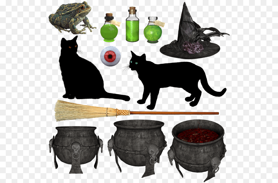Freetoedit Sticker Witch Halloween Cauldron Broom Clipart Witches Cauldron, Animal, Reptile, Lizard, Device Free Png Download