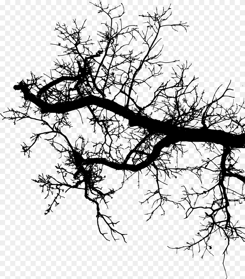 Freetoedit Tree Branch Silhouette 4trueartists Element Siluetas De Ramas, Plant, Art Free Transparent Png