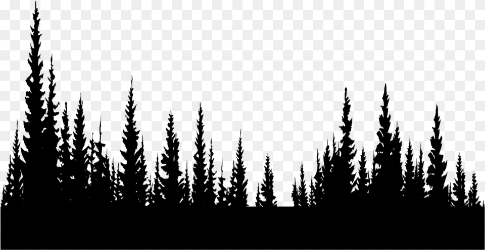 Freetoedit Trees Silhouette Black Forest Inthedistance Forest Trees Silhouette, Gray Free Png Download