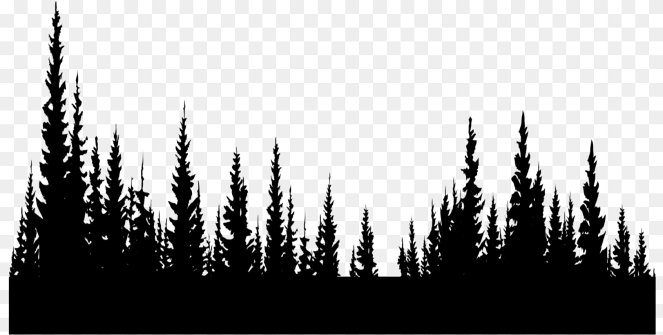 Freetoedit Trees Silhouette Black Forest Inthedistance Shortleaf Black Spruce, Gray Png