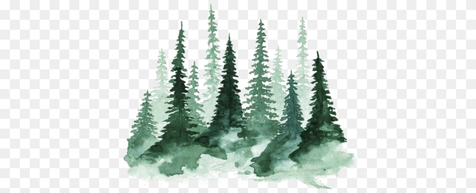 Freetoedit Watercolor Tree Green Forrest Laptop Alpha Xi Delta, Pine, Fir, Plant, Vegetation Free Transparent Png