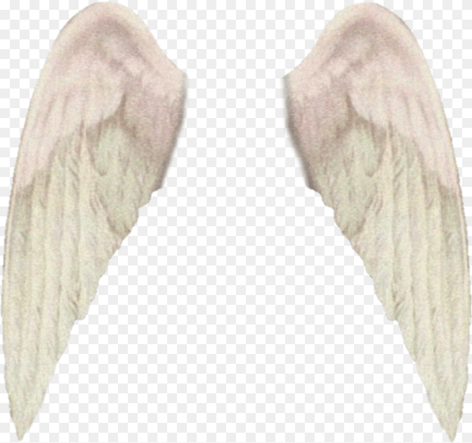 Freetoedit Wings Aesthetic Tumblr Alas Macro Photography, Angel, Person Free Transparent Png