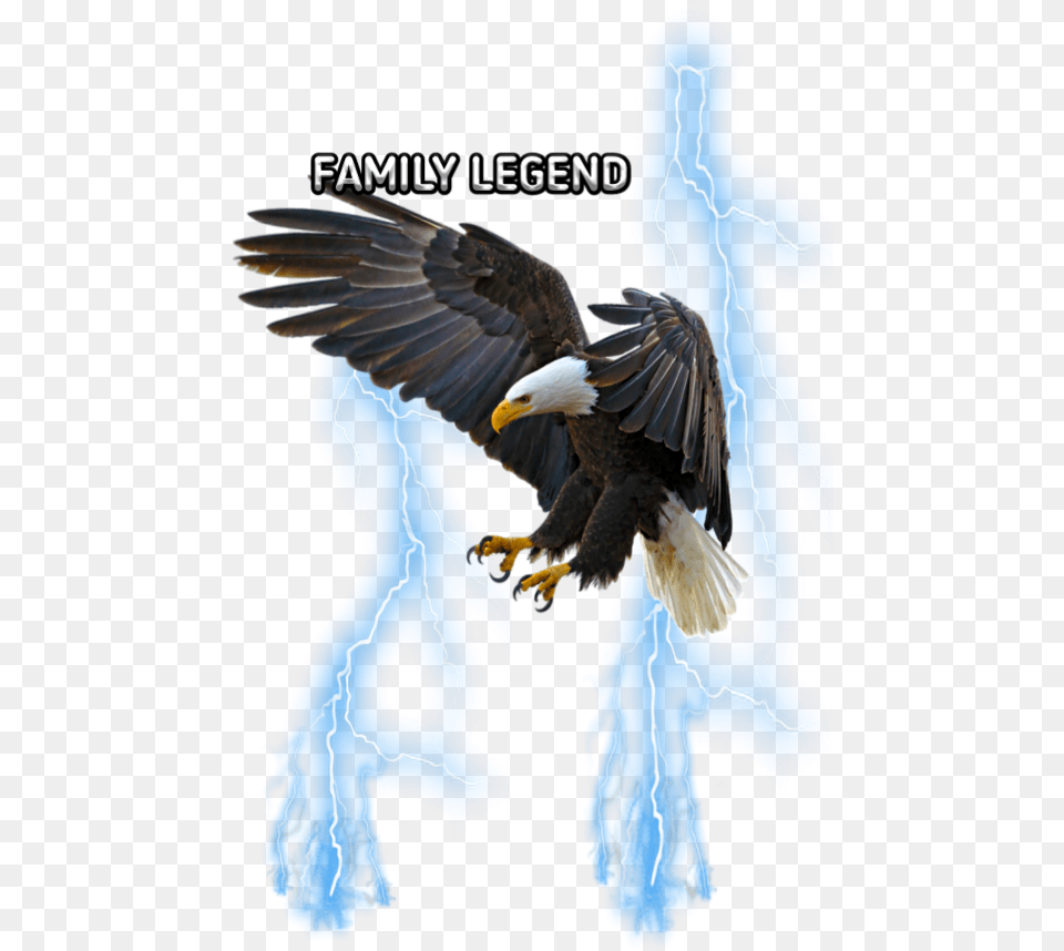 Freetoediteemput Eagle Lightning Blue Flying Eagle Drawing Colored, Animal, Bird, Bald Eagle Free Png