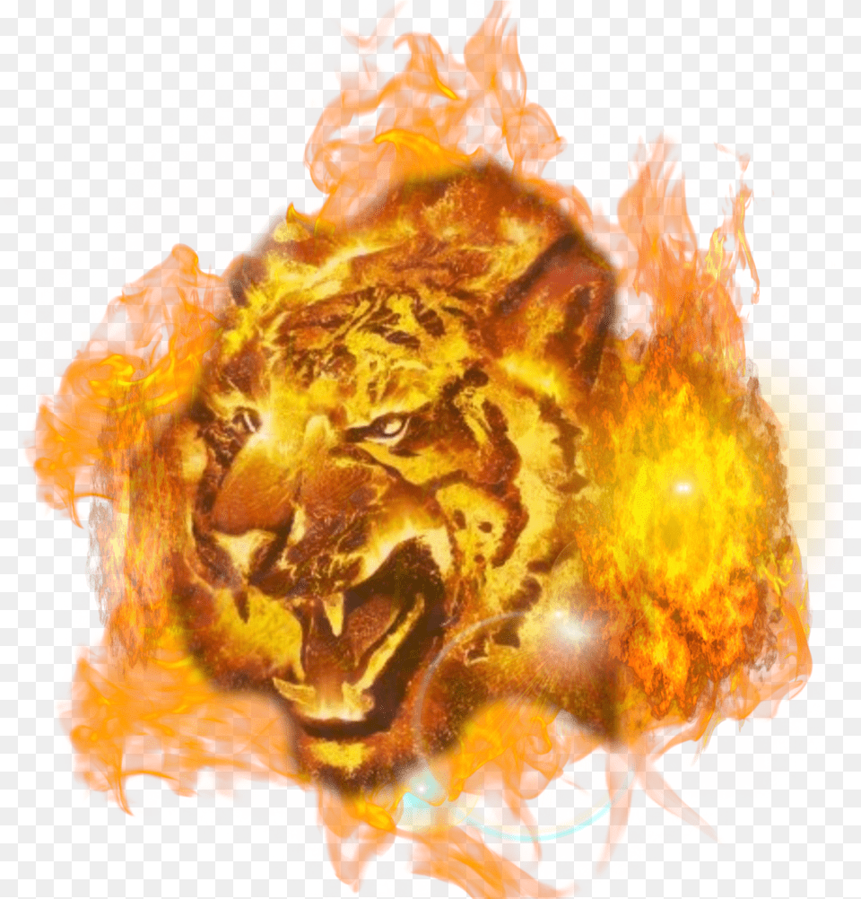 Freetoediteemput Tiger Tigers Fire Black And Red Fire Tiger Png