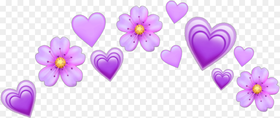 Freetoeditpurple Purpleheart Hearts Heart Crown Purple Heart Emoji Crown, Flower, Plant, Petal Free Transparent Png
