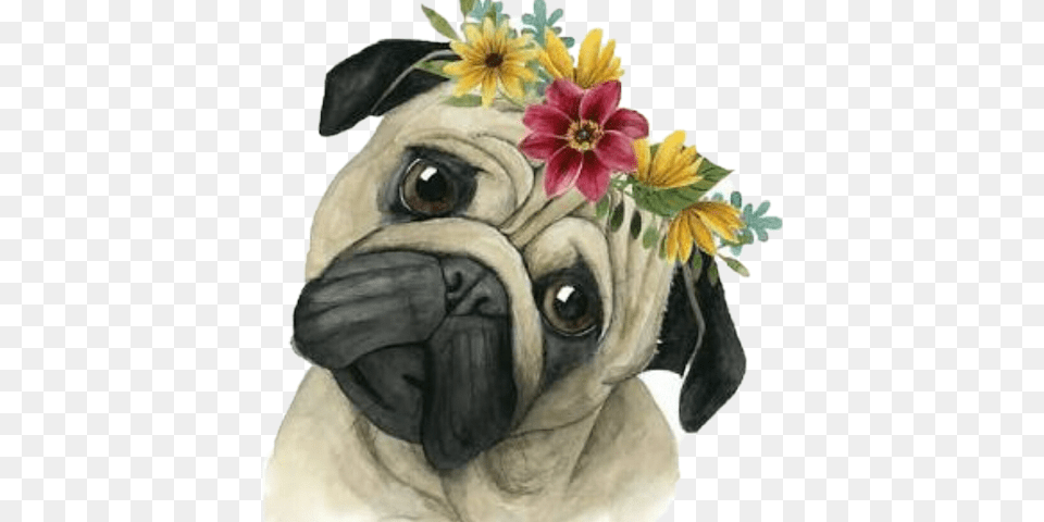 Freetoeditscpugpug Art Print Flower Crown Pup I By Grace Popp, Mammal, Animal, Canine, Dog Free Png