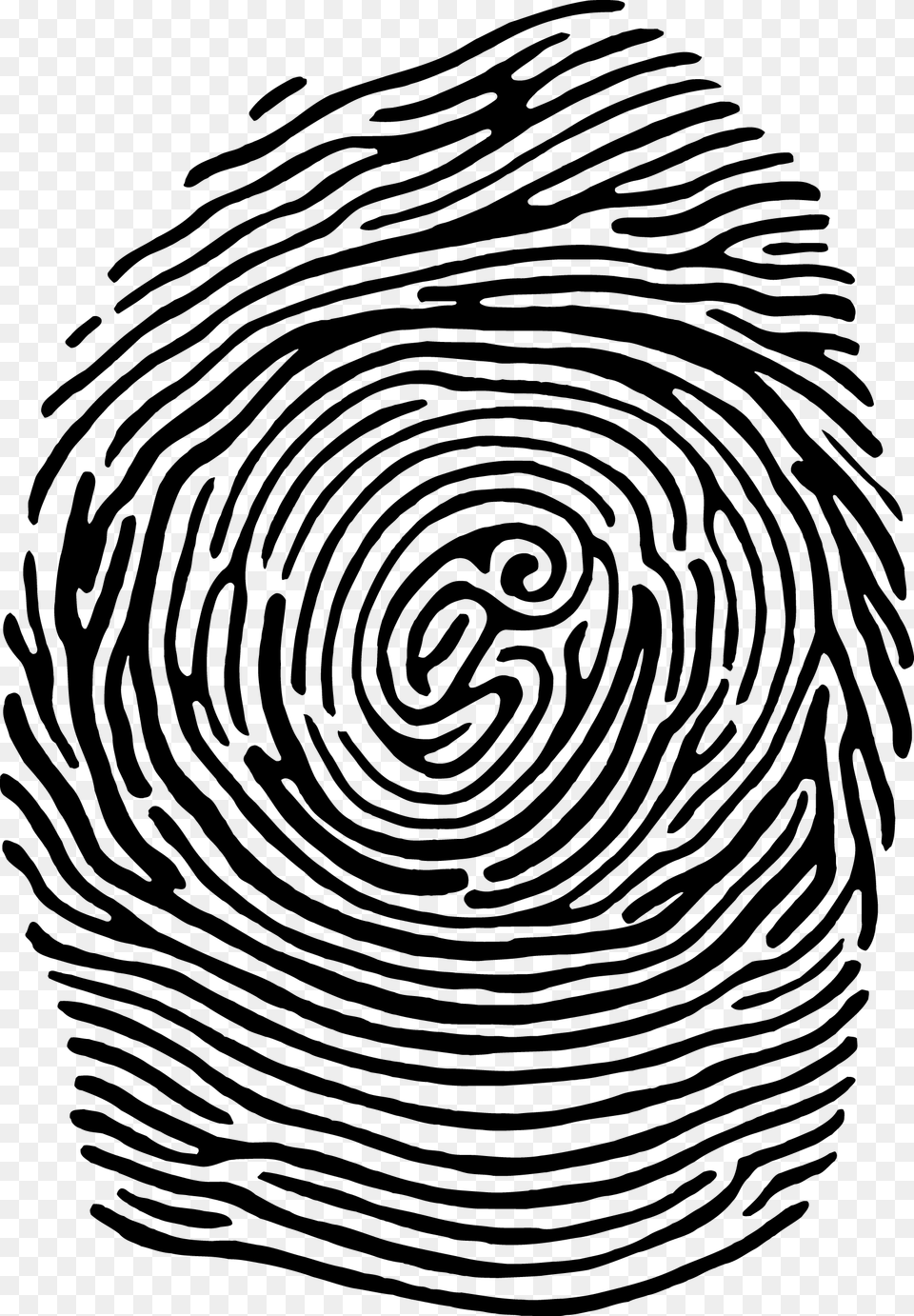 Freeuse Download Fingerprint Clipart Simplified Agencia, Spiral, Animal, Mammal, Wildlife Free Png