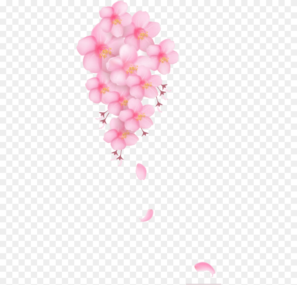 Freeuse Download Pink Pattern Transprent Cherry Blossom, Plant, Petal, Flower, Cherry Blossom Free Png