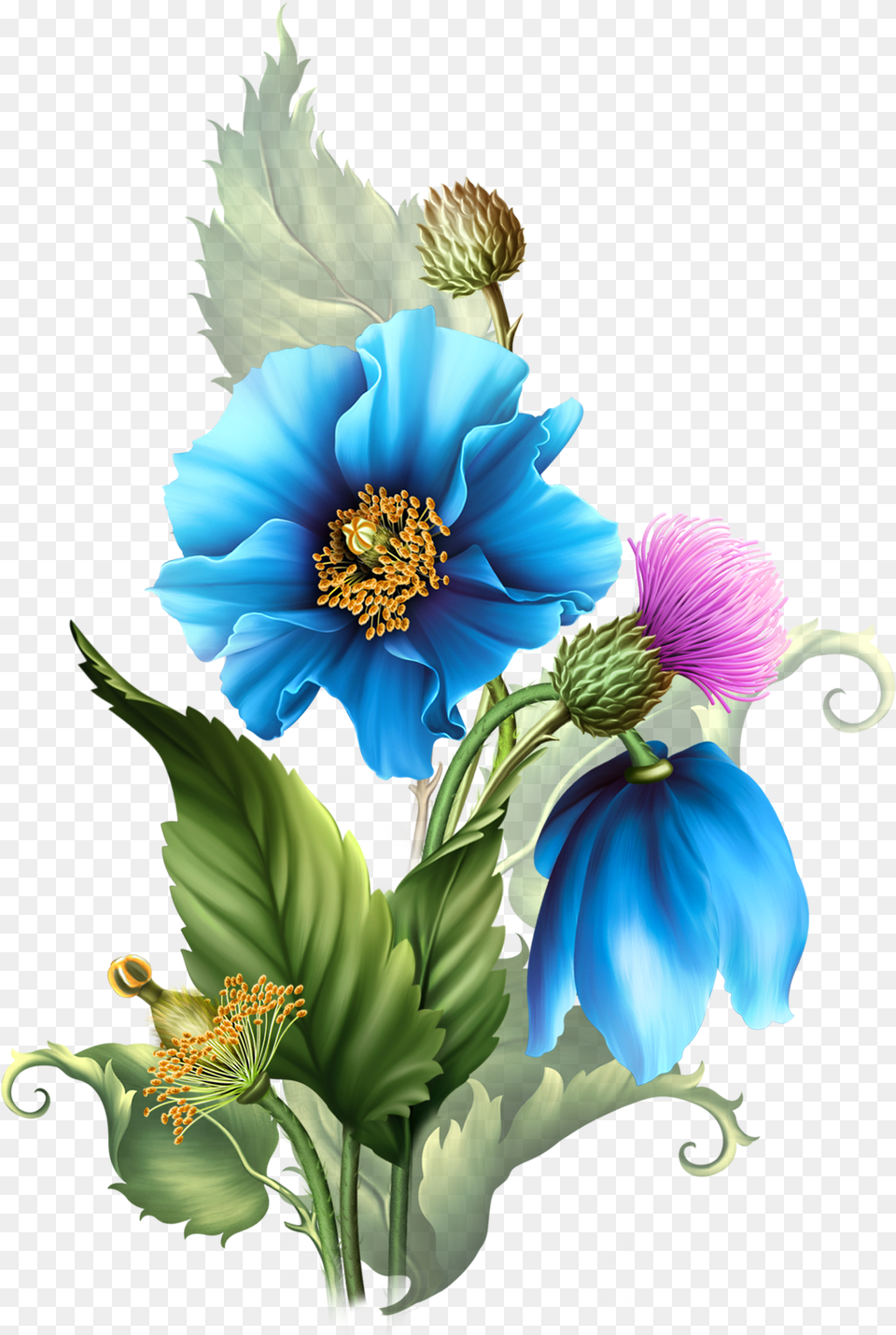 Freeuse Himalyan Poppies Moonbeam Centerblog, Anemone, Anther, Flower, Plant Png Image