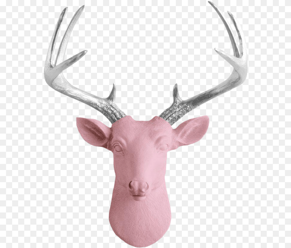 Freeuse Library Blossom Antler Pink Faux Head Mini Mini Deer By Wall Charmers White Gold Antler Faux, Animal, Mammal, Wildlife, Antelope Free Transparent Png