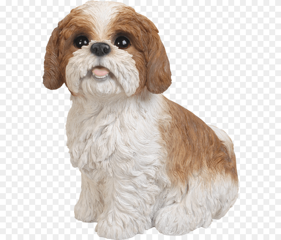 Freeuse Library Brown Sitting Resin Garden Ornament Shih Tzu Brown And White, Animal, Canine, Dog, Mammal Png Image