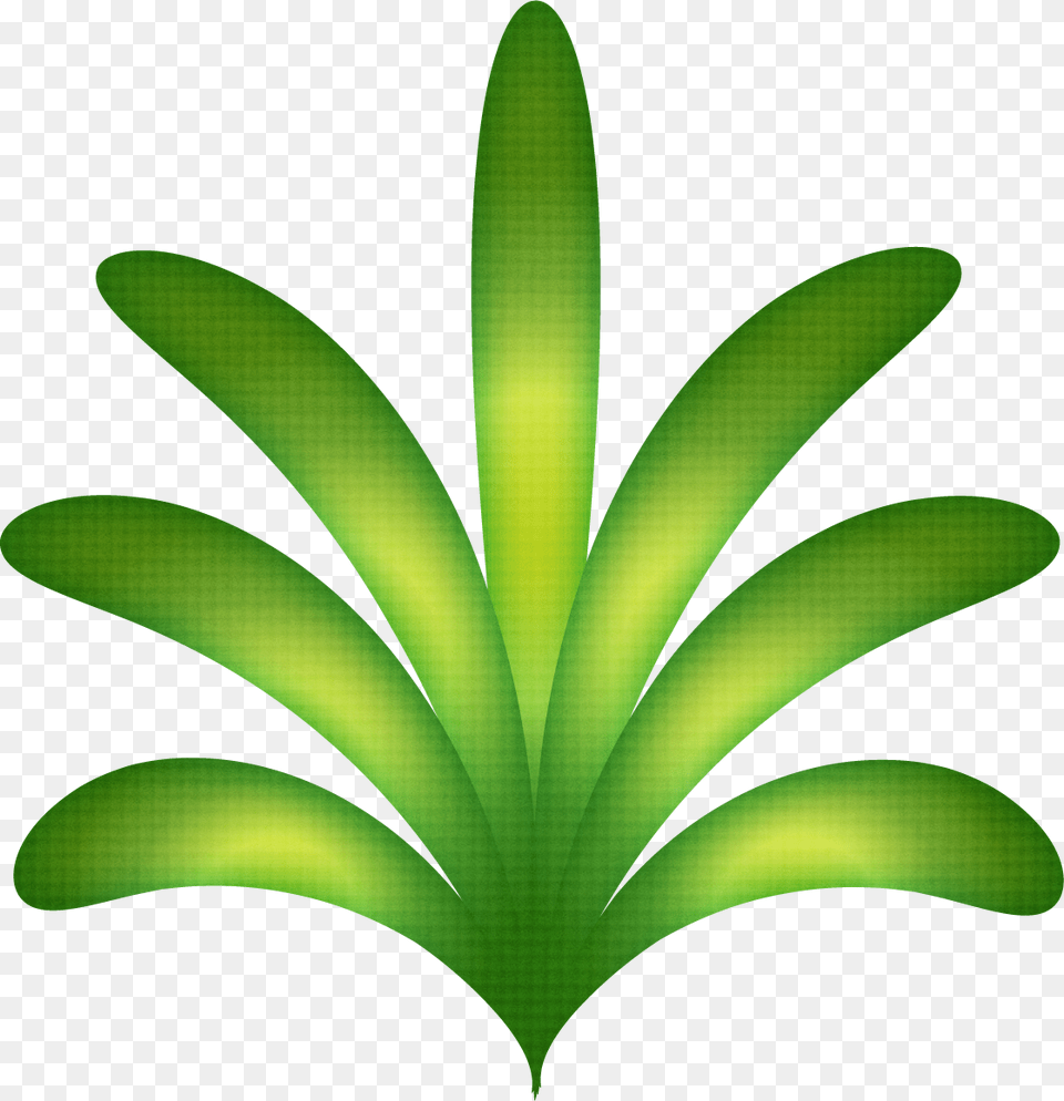 Freeuse Luau Havaianas Minus Festa Havaiana Folhas De Luau, Green, Leaf, Plant Free Transparent Png