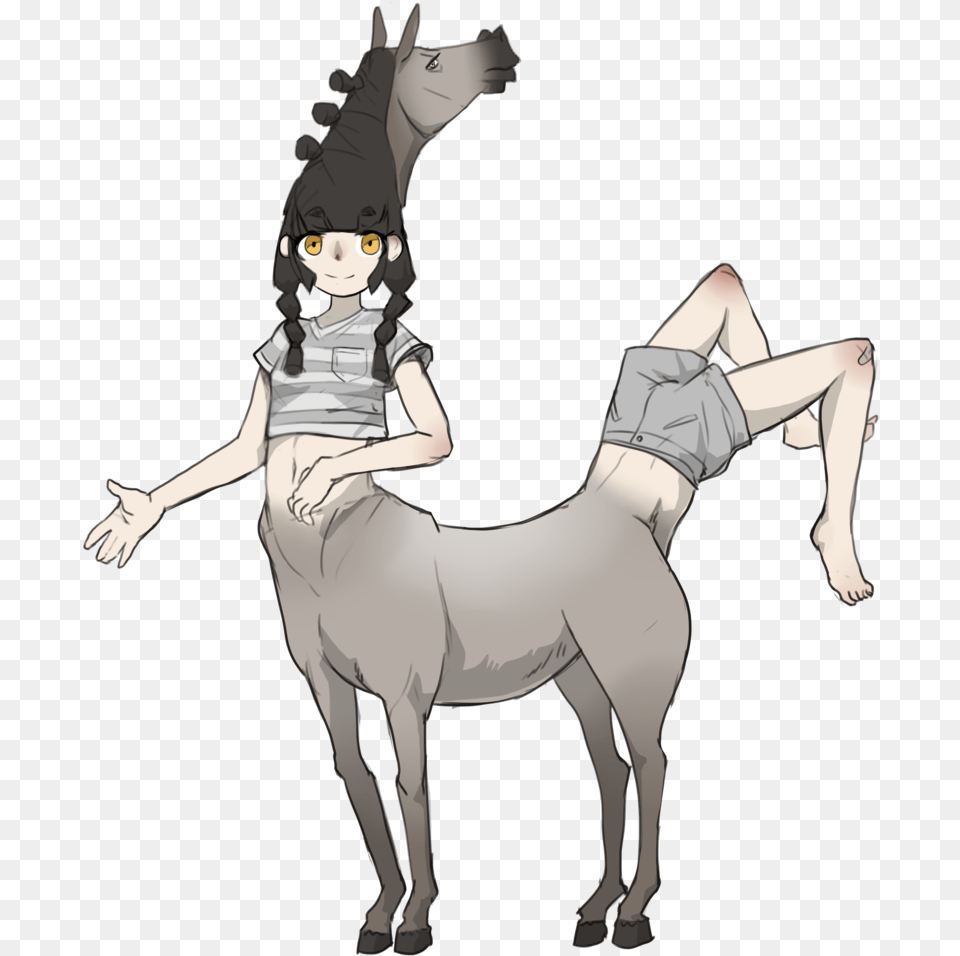 Freeuse Stock Centaur Transprent Horse, Adult, Female, Person, Woman Png Image
